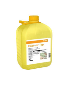 Enervin Top