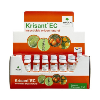 Krisant EC 2