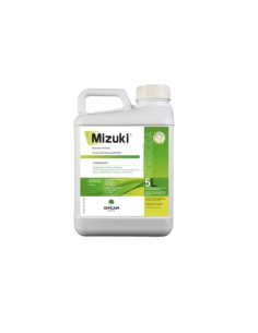 Mizuki