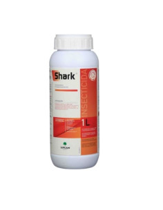 Shark