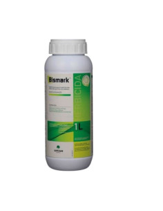 Bismark 2