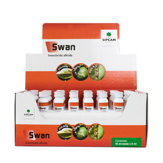 Swan 2
