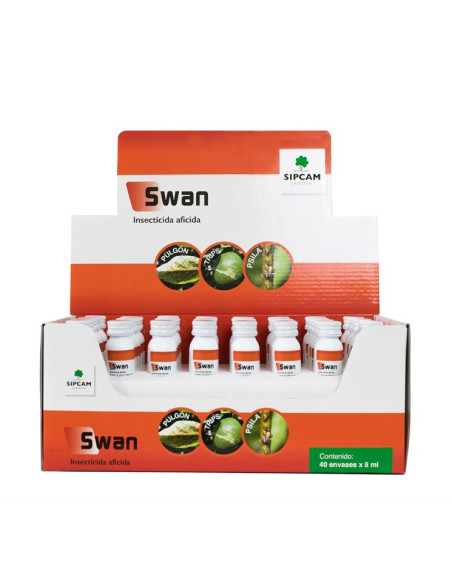 Swan Swan