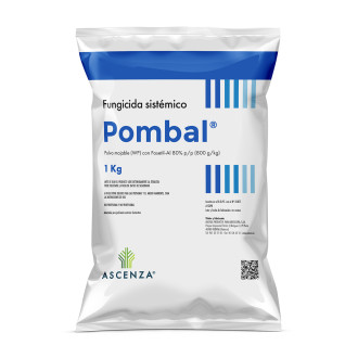 Pombal 80 WG