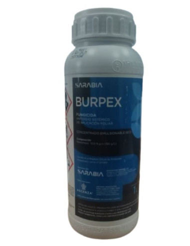 Burpex