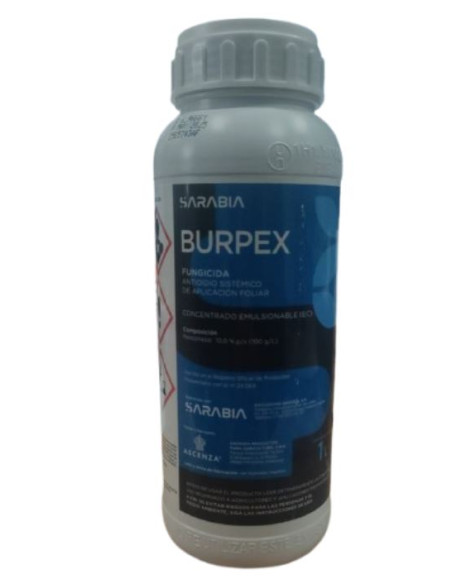 Burpex