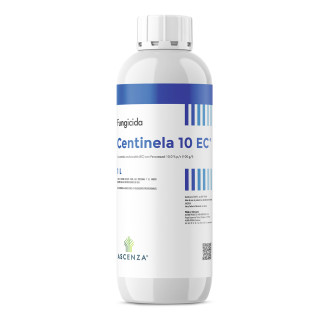 Centinela