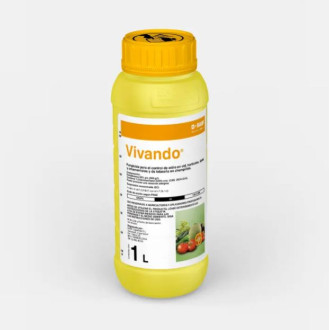 Vivando 2