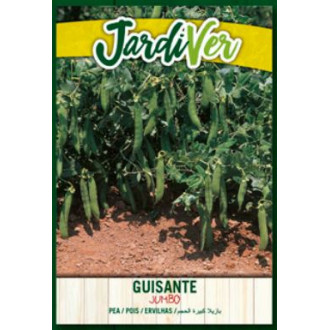 Guisante Jumbo