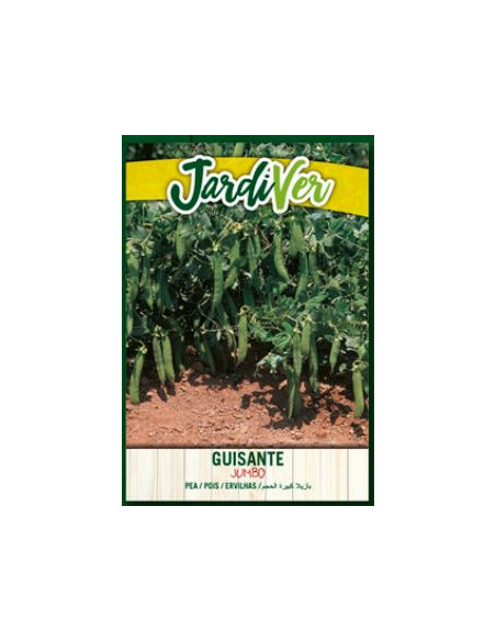 Guisante Jumbo