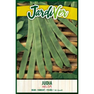 Judia Helda 2