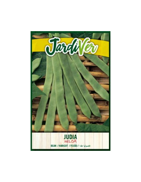 Judia Helda