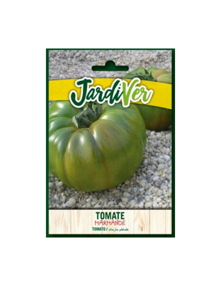 Tomate Marmande