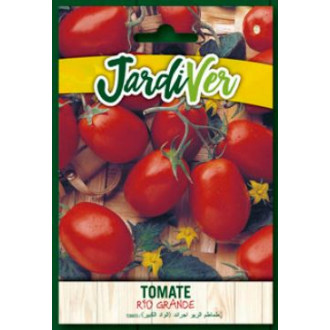 Tomate Rio Grande