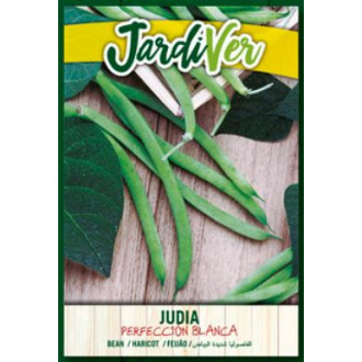 Judia Perfeccion Blanca
