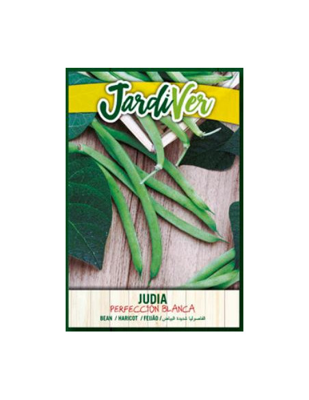 Judia Perfeccion Blanca