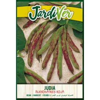 Judia Buenos Aires Roja