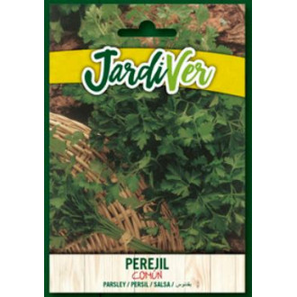 Perejil Comun 2