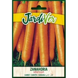 Zanahoria Nantesa