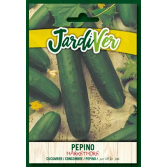 Pepino Marketmore