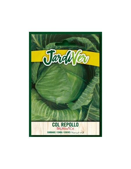 Col Repollo Brunswick 25Grs