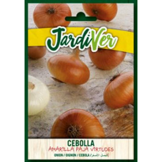 Cebolla Amarilla Paja Virtudes 2
