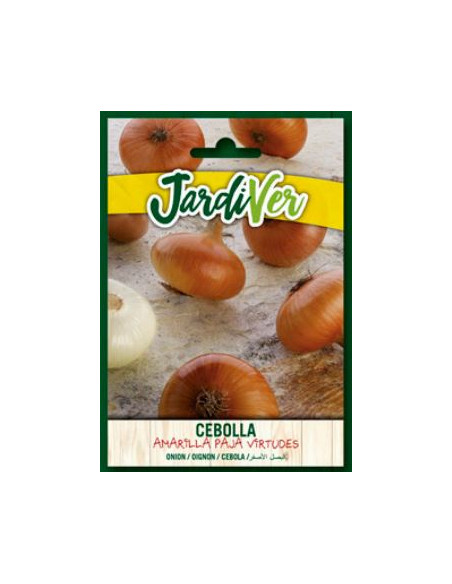 Cebolla Amarilla Paja Virtudes