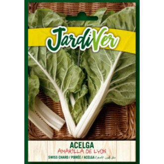 Acelga Amarilla de Lyon