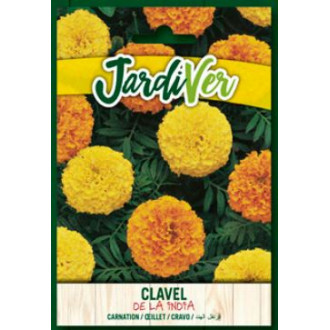 Clavel de la India