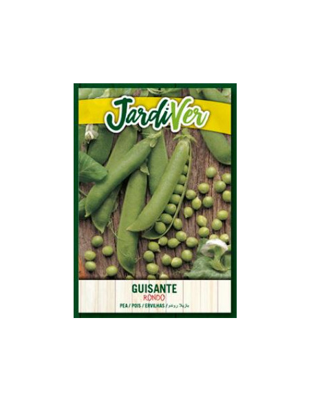 Guisante Rondo 250 Grs