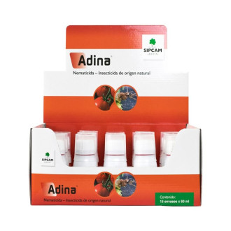 Adina