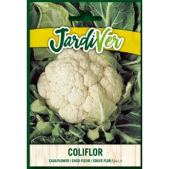 Coliflor