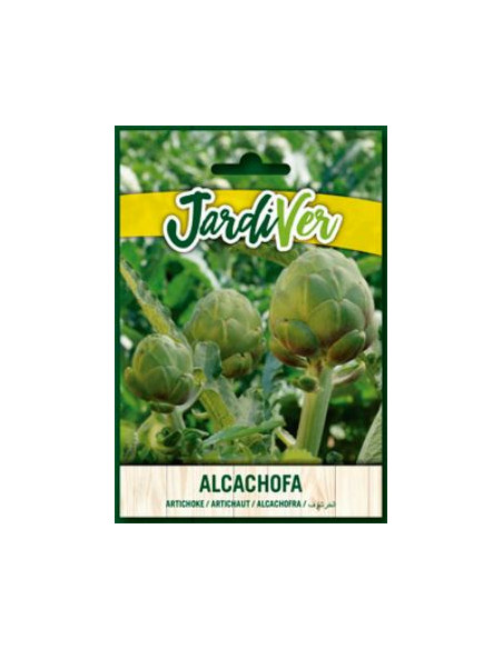 Alcachofa