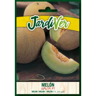 Melon Galia F1