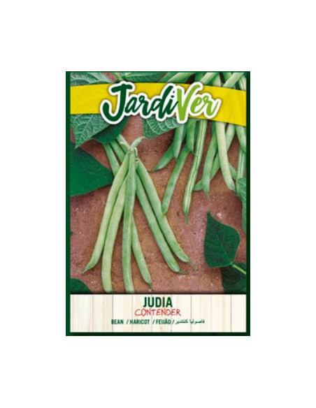 Judia Contender 250Grs