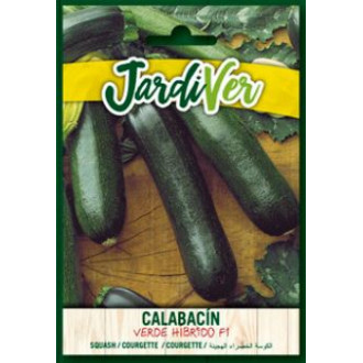 Calabacin Verde Hibrido