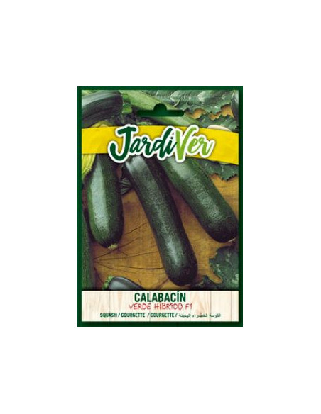 Calabacin Verde Hibrido