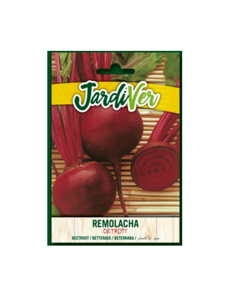 Remolacha Detroit