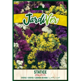 Statice Sinuata Mezcla