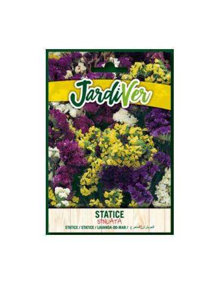 Statice Sinuata Mezcla
