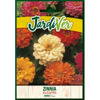 Zinnia Elegans Mezcla