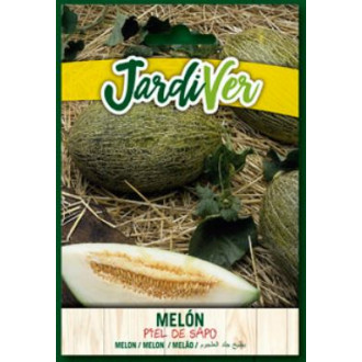 Melon Piel de Sapo