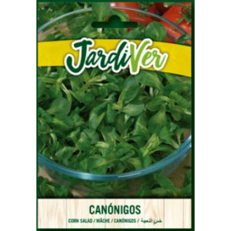 Canonigos