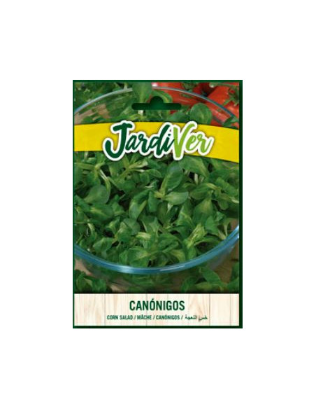 Canonigos Canonigos