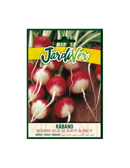 Rabano Redondo Rojo Punta Blanca