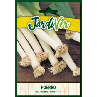 Puerro