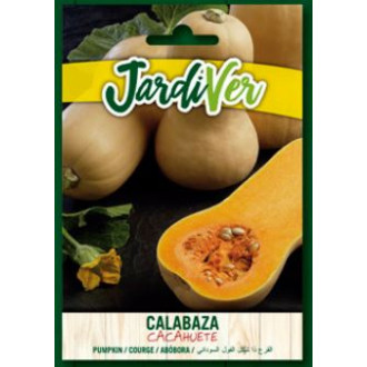 Calabaza Cacahuete