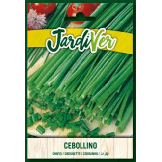 Cebollino