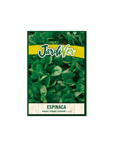 Espinaca