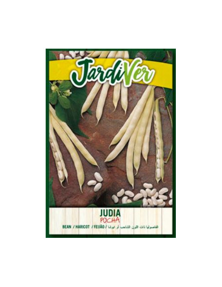 Judia Pocha 250Grs